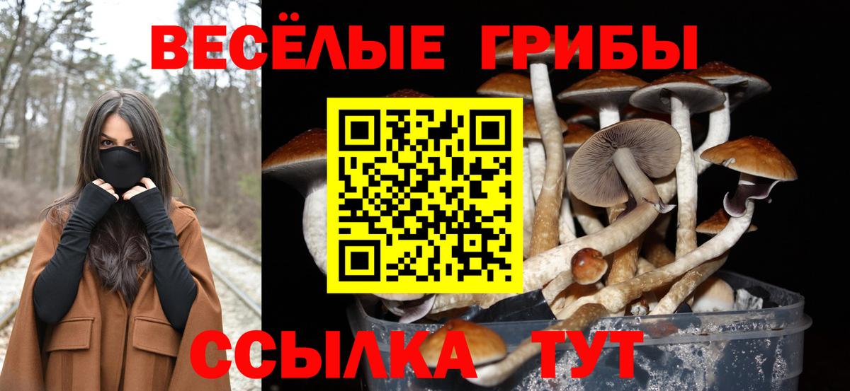 Галлюциногенные грибы мухоморы Волжский